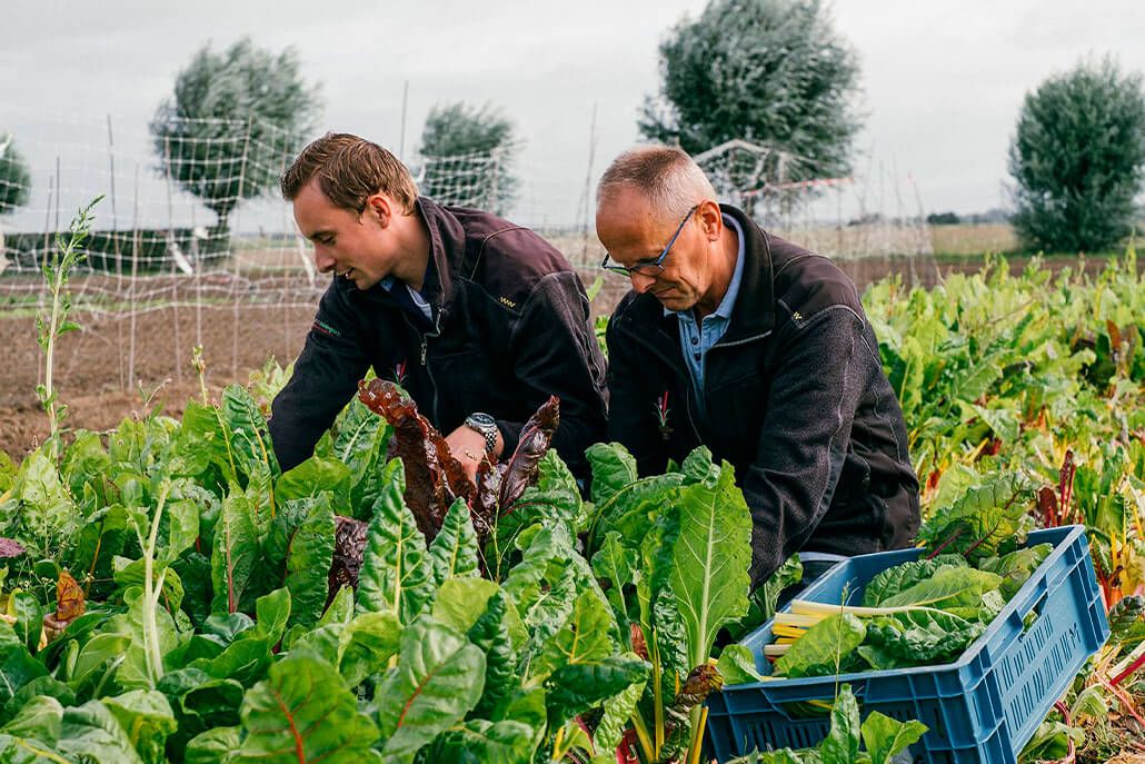 Landzicht Biologisch