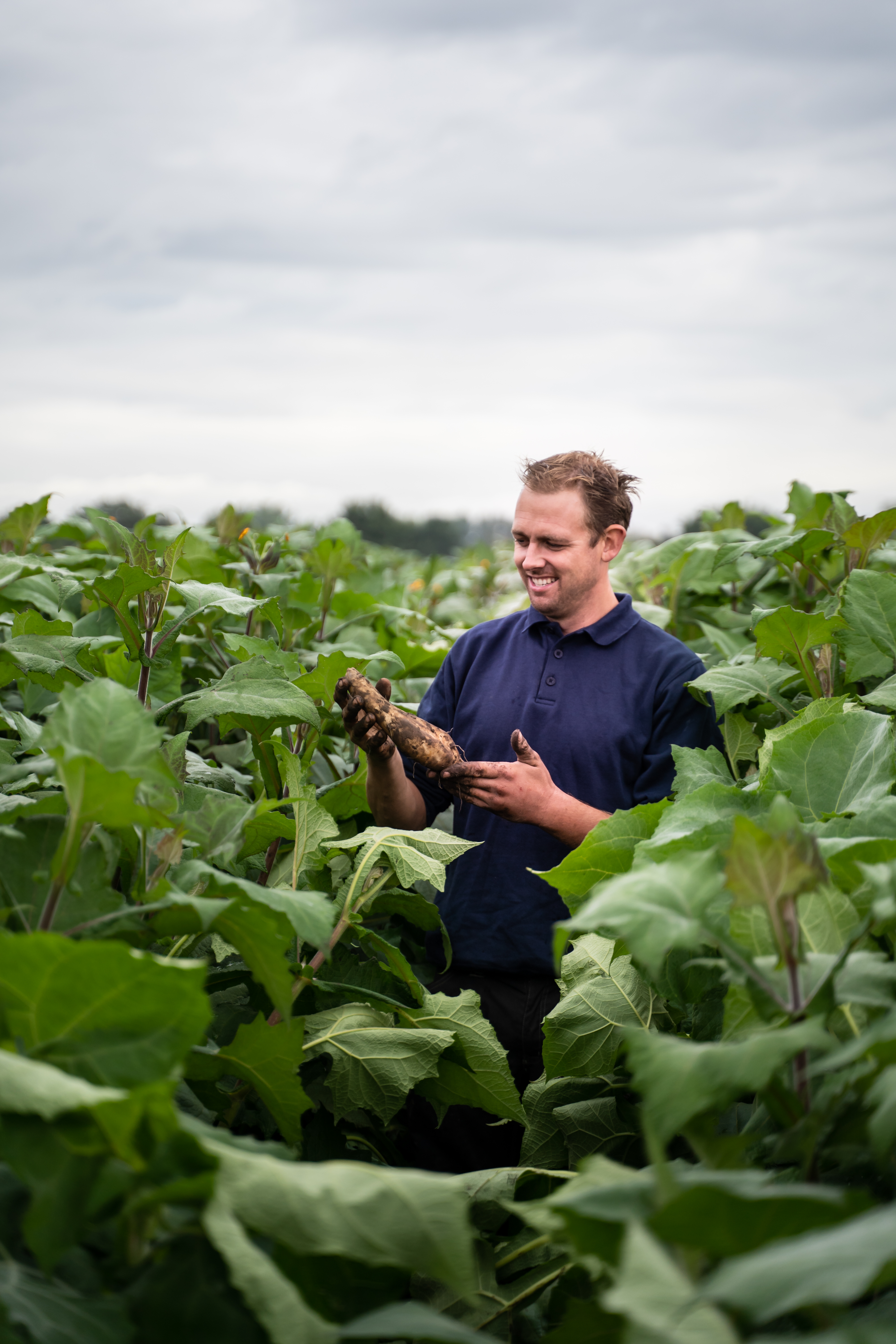Schuurmans Vollegrondsgroeten