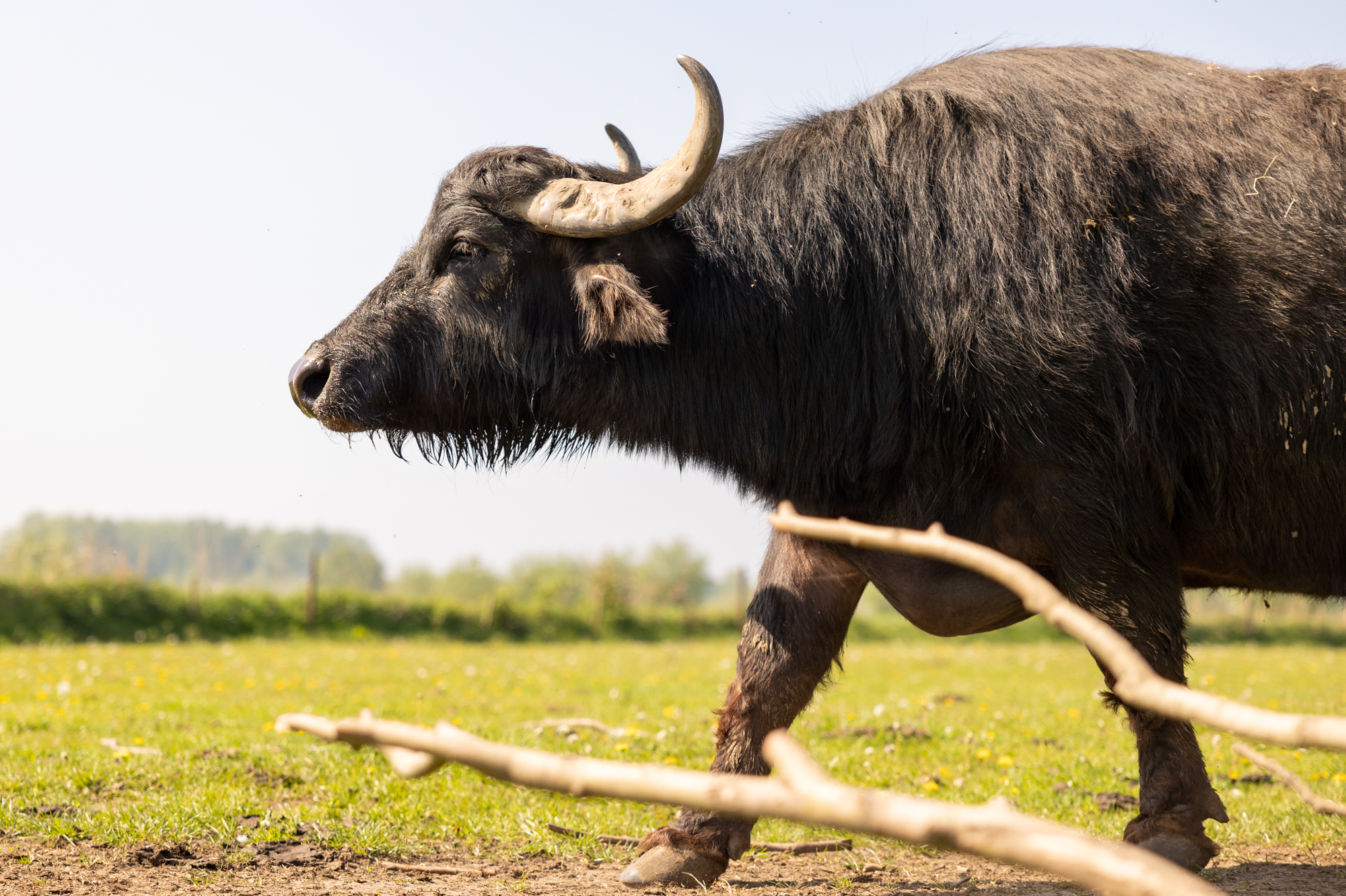 De Stoerderij