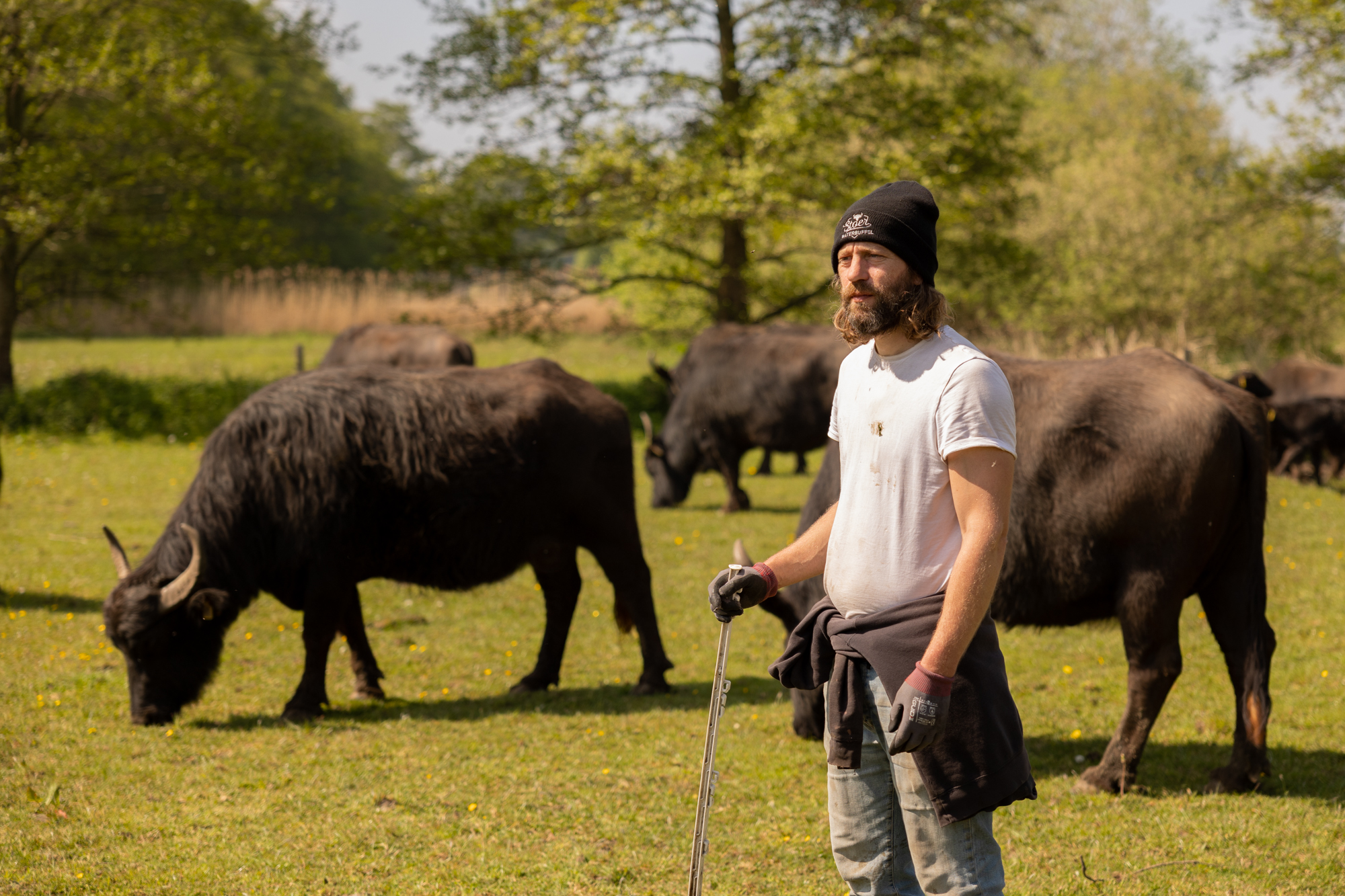 De Stoerderij